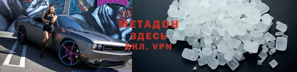 прущие грибы Волосово