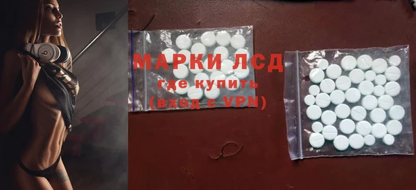 прущие грибы Волосово
