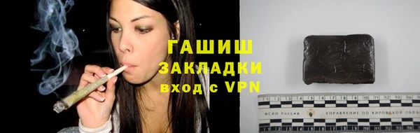 прущие грибы Волосово