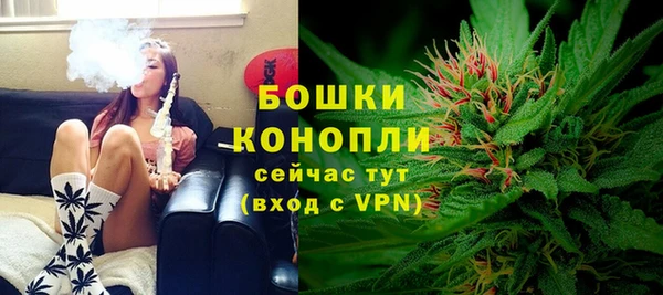 прущие грибы Волосово