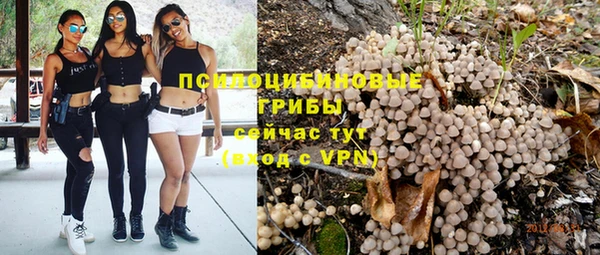 дурь Верхний Тагил