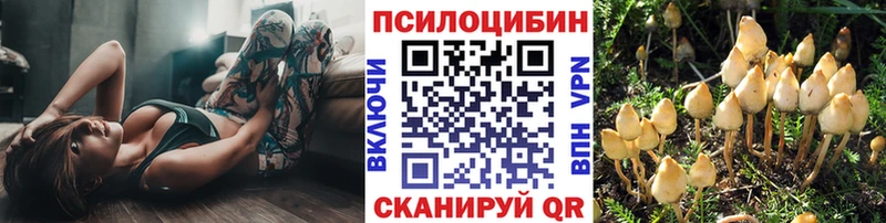 Псилоцибиновые грибы Cubensis  Ялта 